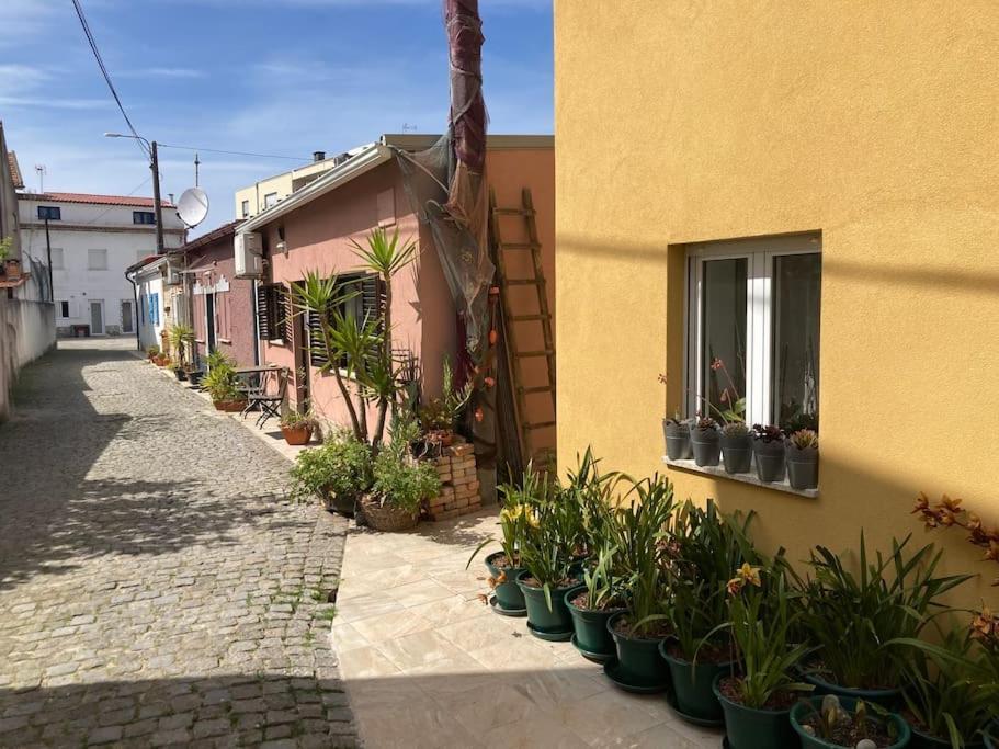 Villa Casa Nova Apúlia Exterior foto